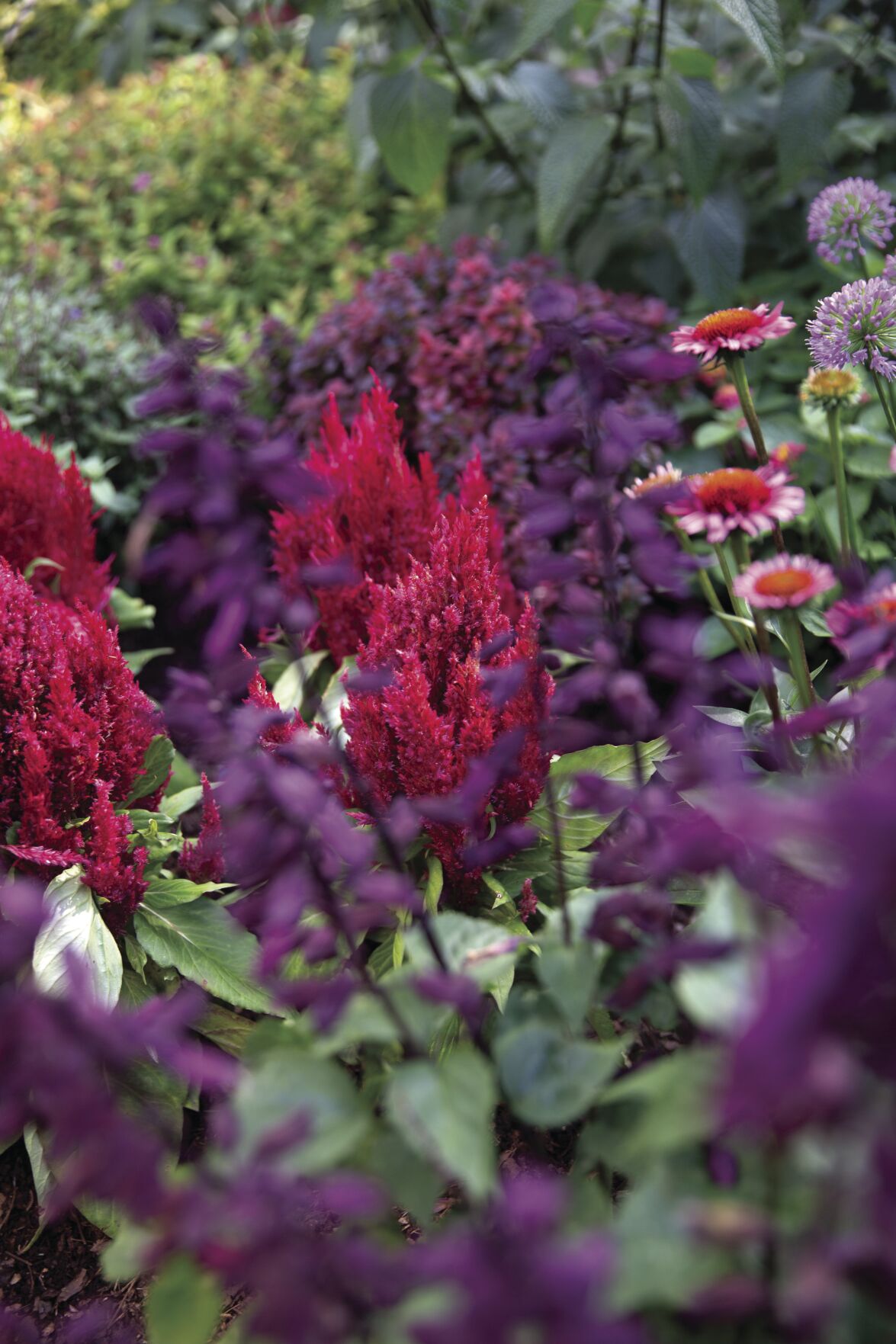 2020.07.29_Dierbeck_H&G_GardenTour_MrsDanforth-Final_3.jpg